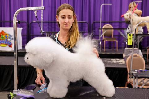 Las Vegas Pet Trade Show dengan kecepatan rekor kehadiran