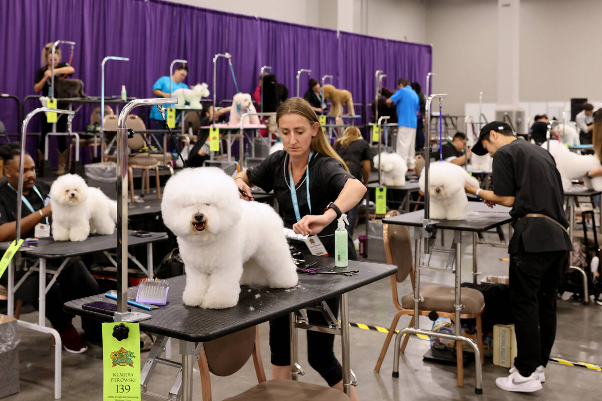 Klaudia Pierowsku of Evergreen, Colo. and other grooming contestants compete during the SuperZo ...