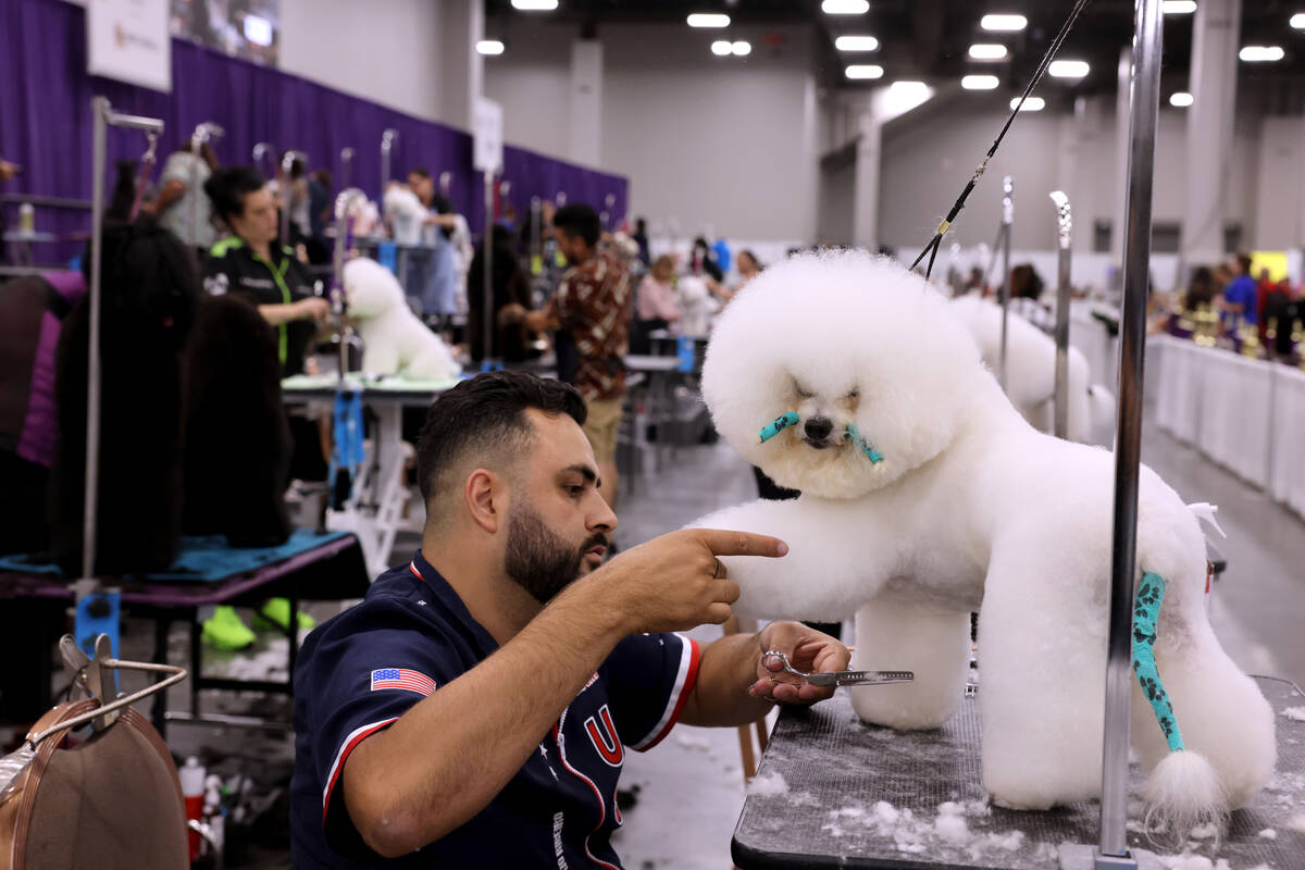 Las Vegas pet trade show on pace for record attendance Conventions