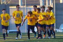 Shadow Ridge players celebrate a goal against Silverado during a soccer game at Shadow Ridge Hi ...