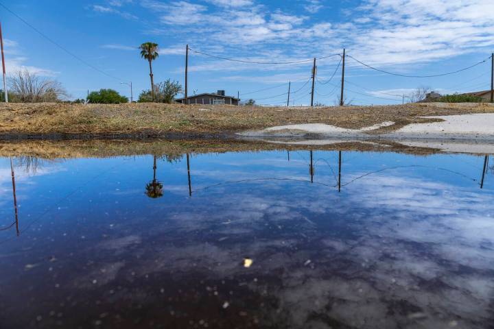 “Once I’m gone,” Myrtle Wilson says, “my kids will have to take up the fight with North ...