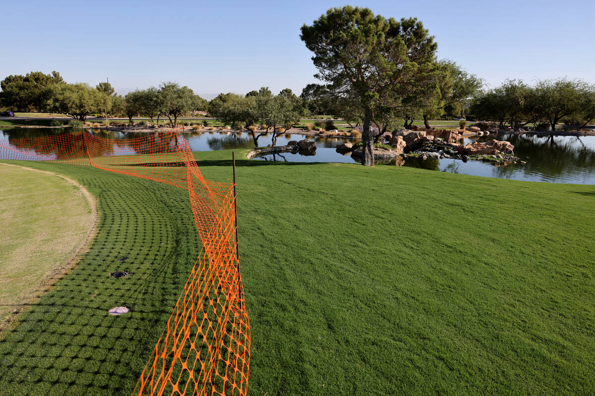Bandera Bermuda grass on rough around the 5th green at Anthem Country Club in Henderson Tuesday ...