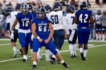 Desert Pines senior Michael Del Real (66) is shown during a game against Canyon Springs at Dese ...