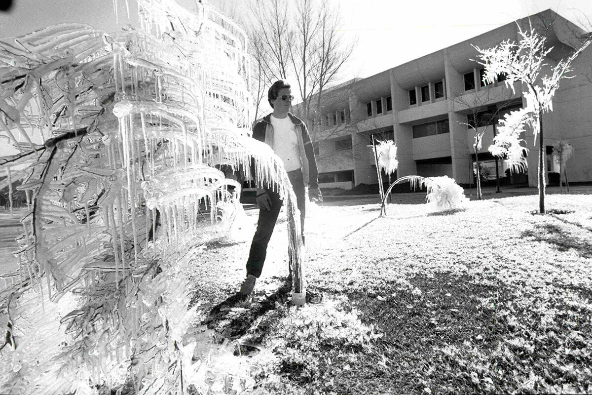 University worker surveys damage to trees outside the education building where about 25 young t ...