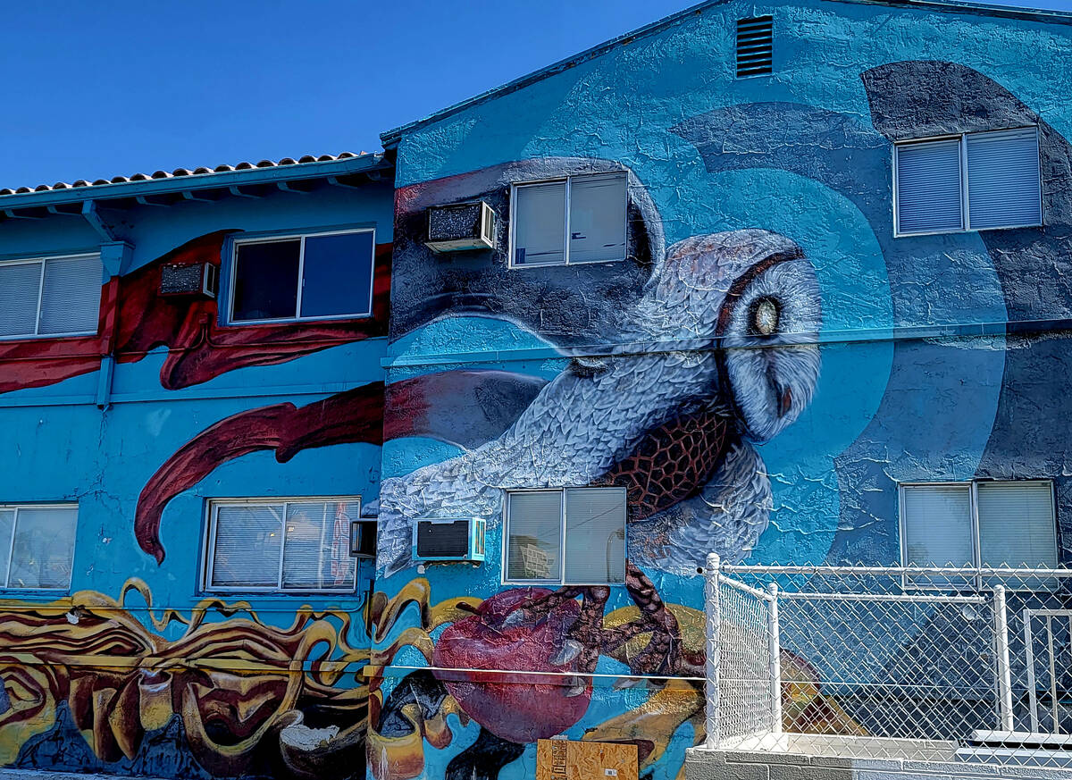 An owl and a chicken are attention grabbers in this Shay Davis mural at 110 N. Eighth St. (Nata ...