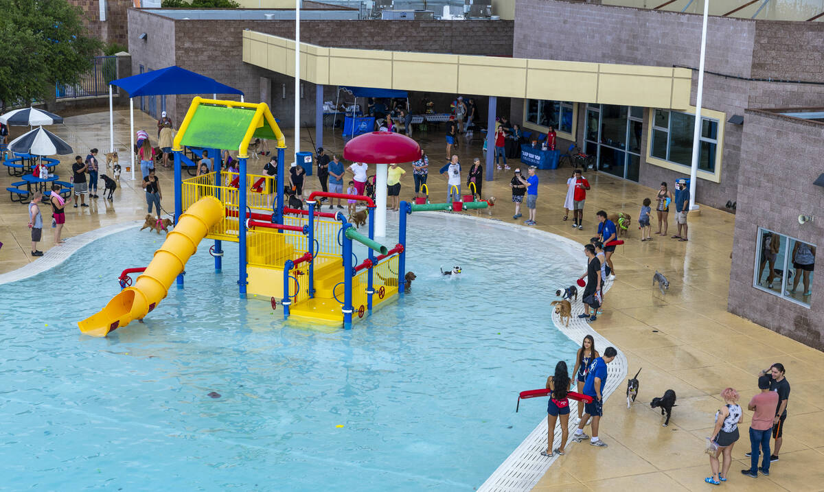 Dogs play during Dog Daze of Summer event where dogs swim in the pool before it closes for the ...