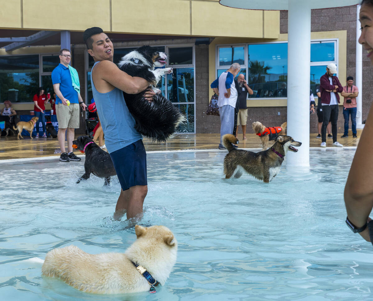 Jeff Lo carries his dog Riley into the water being a little reluctant to get wet during Dog Daz ...
