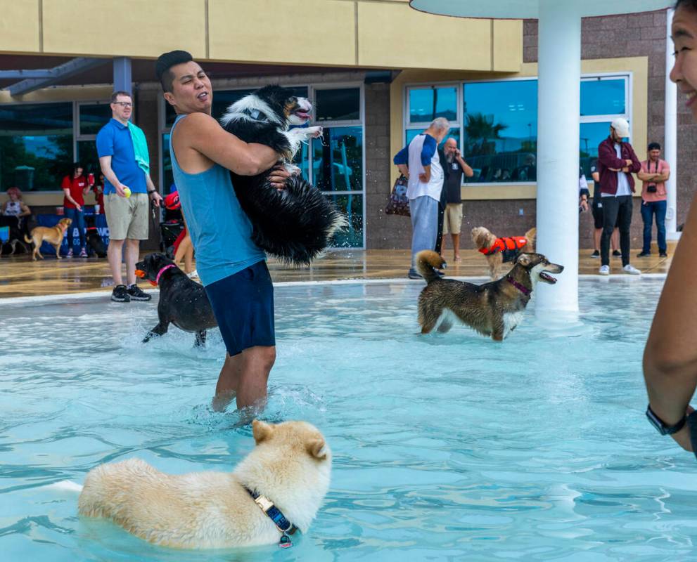 Jeff Lo carries his dog Riley into the water being a little reluctant to get wet during Dog Daz ...