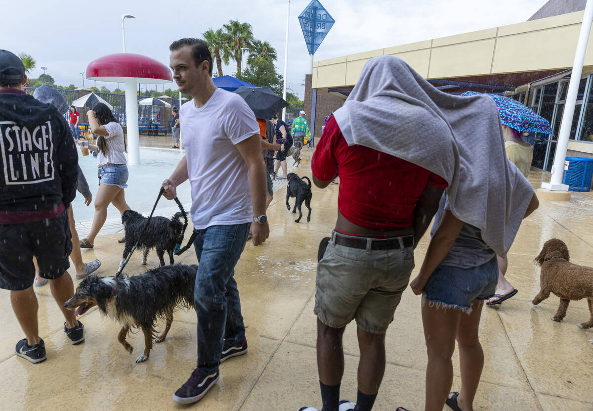 The rain can't stop the Dog Daze of Summer event where dogs swim in the pool before it closes f ...