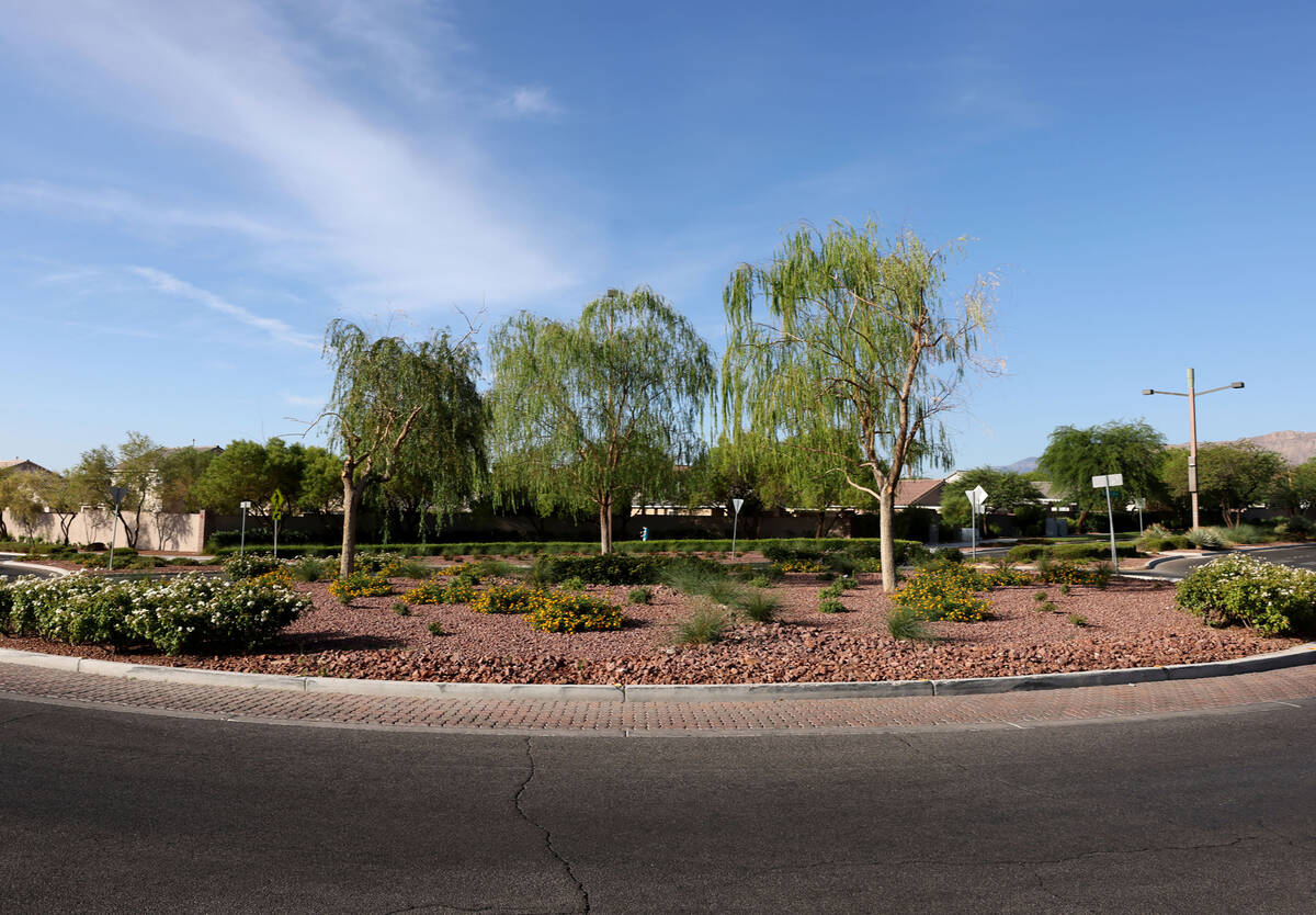 Desert or oasis landscaping in a roundabout at Desert Marigold and Havenwood lanes in Summerlin ...