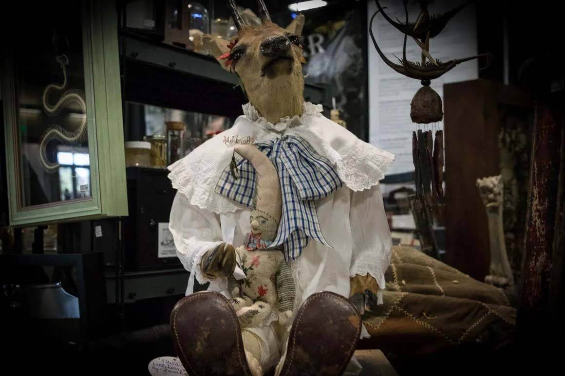 Oddities & Curiosities Expo visits World Market Center in Las Vegas