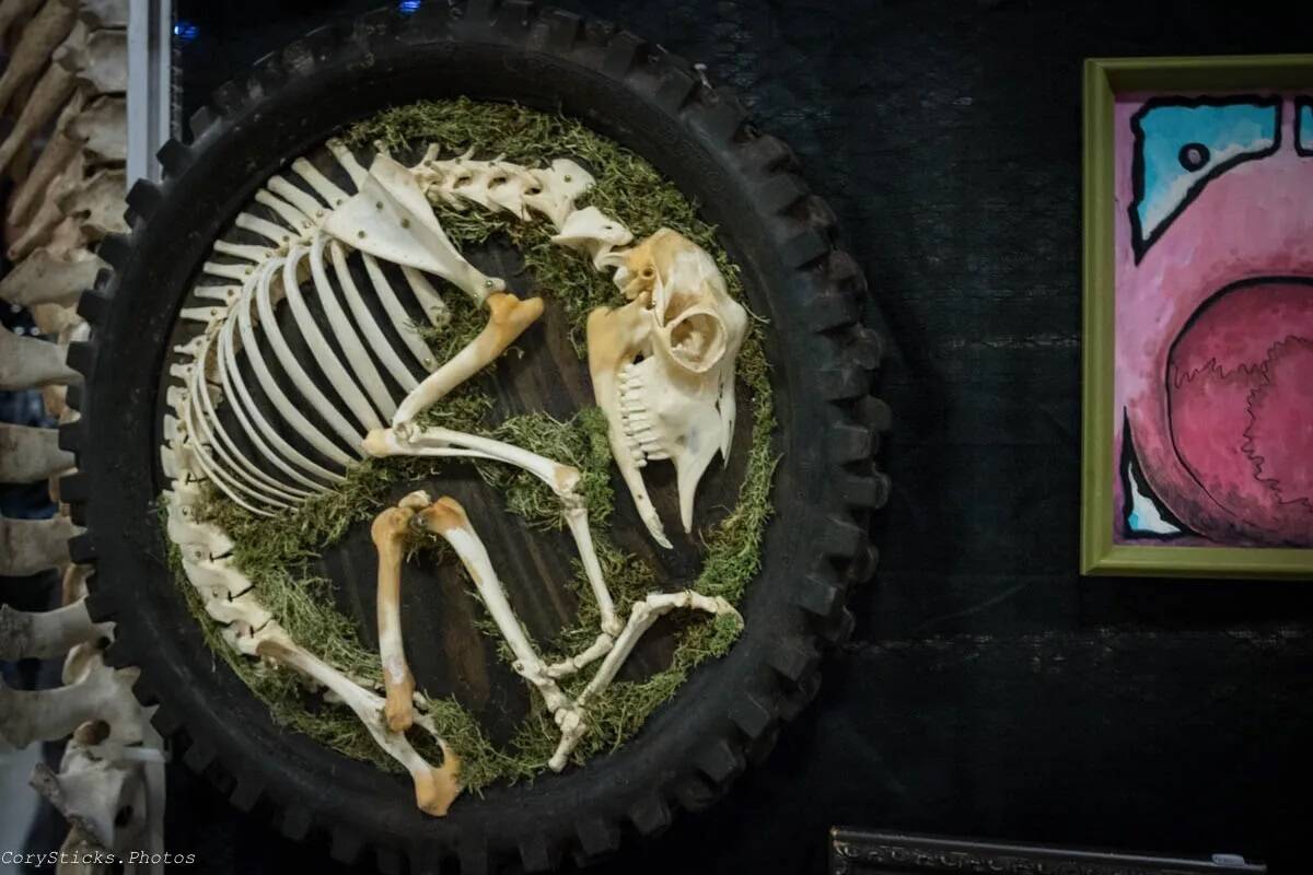 Oddities & Curiosities Expo visits World Market Center in Las Vegas