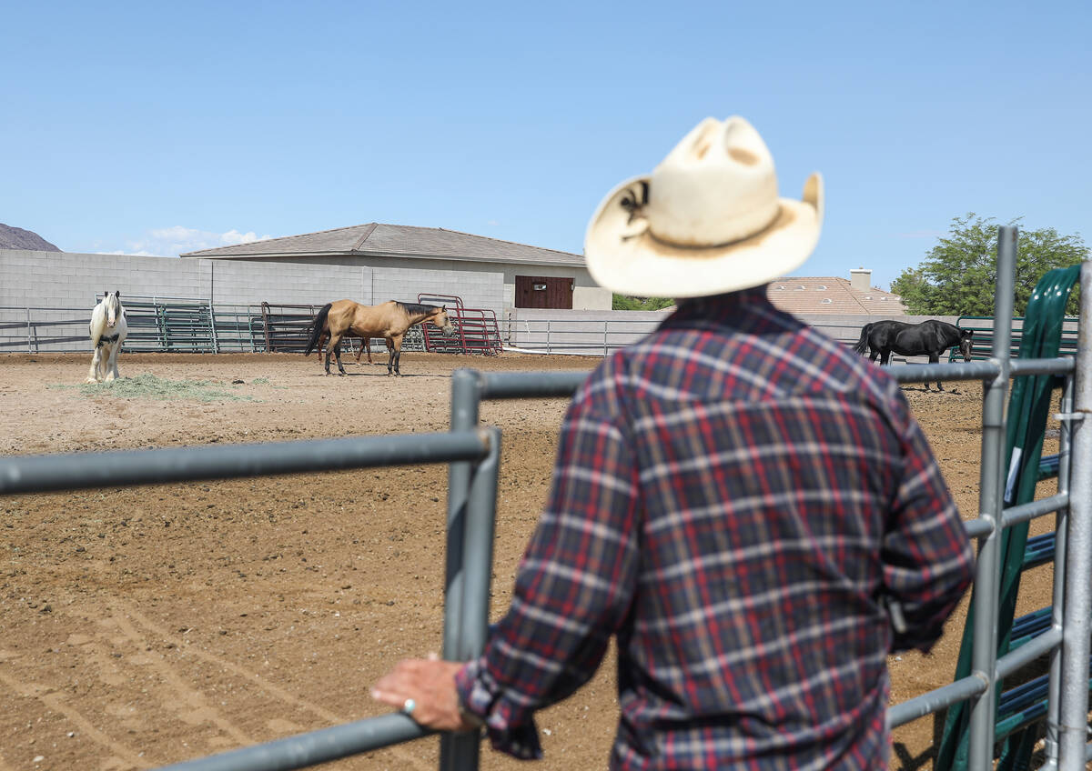 Jay DePland looks on at his horses at his home in Henderson, Wednesday, Sept. 14, 2022. (Rachel ...