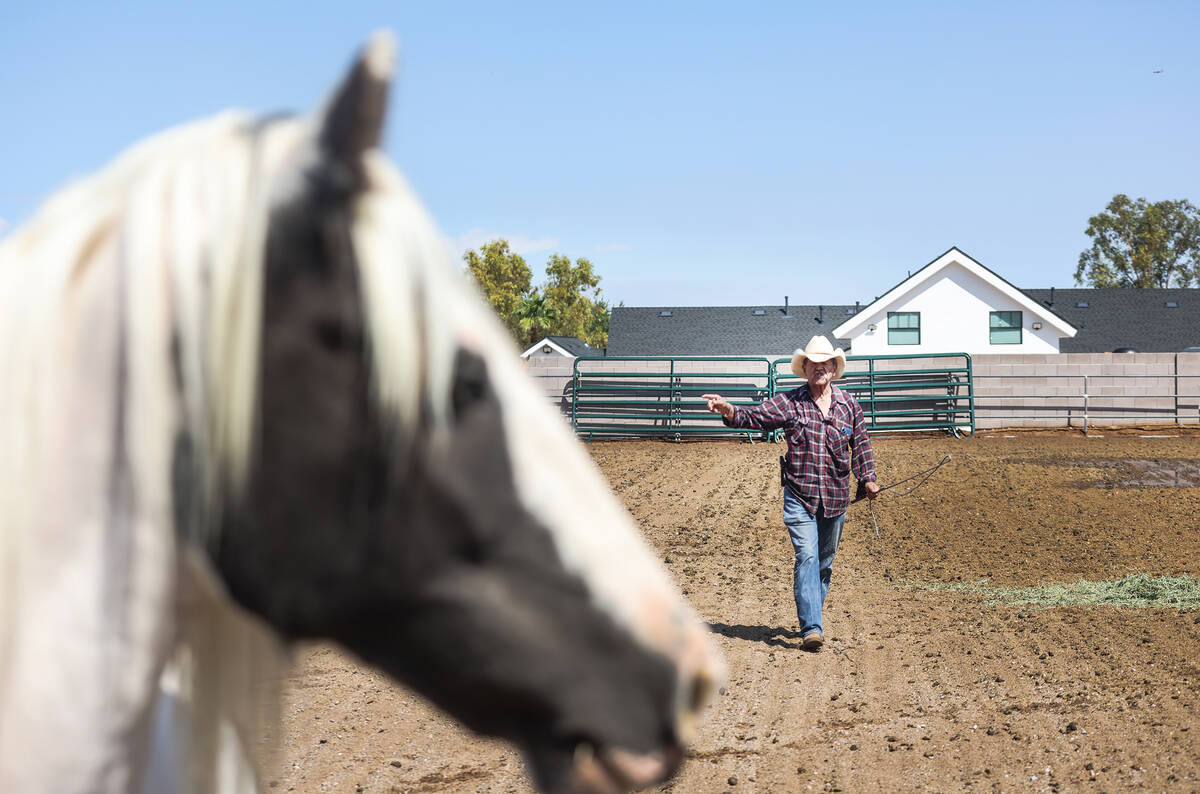 Jay DePland commands his horse Elvis to move around the horse pen at his home in Henderson, Wed ...