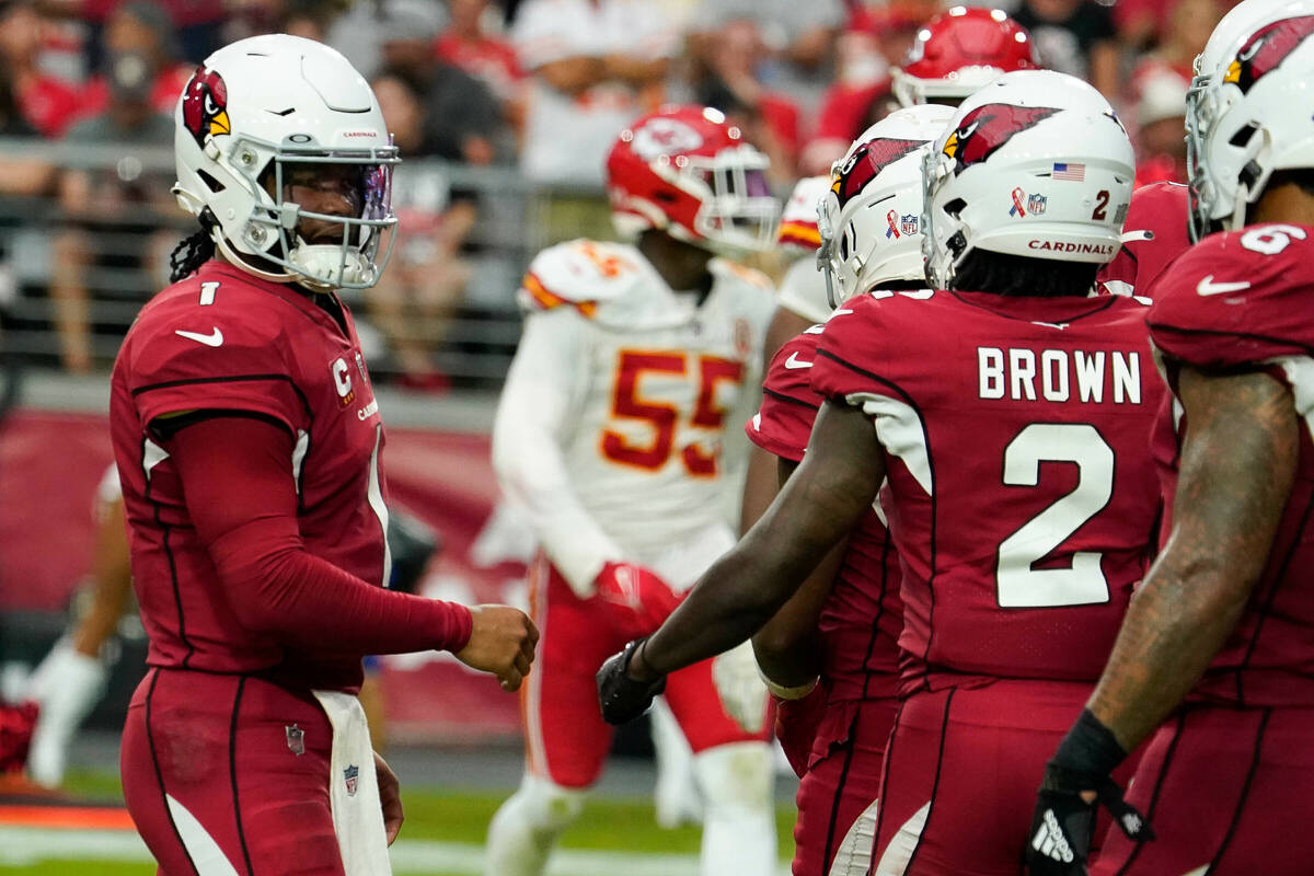 arizona cardinals marquise brown