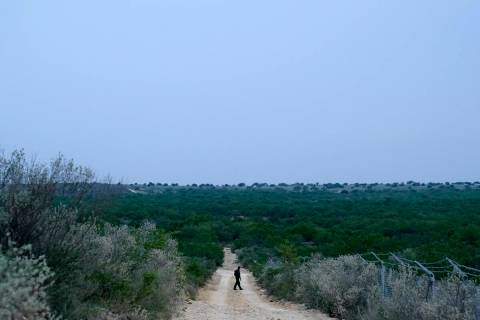 FILE - In this May 11, 2021, file photo a Border Patrol agent walks along a dirt road near the ...