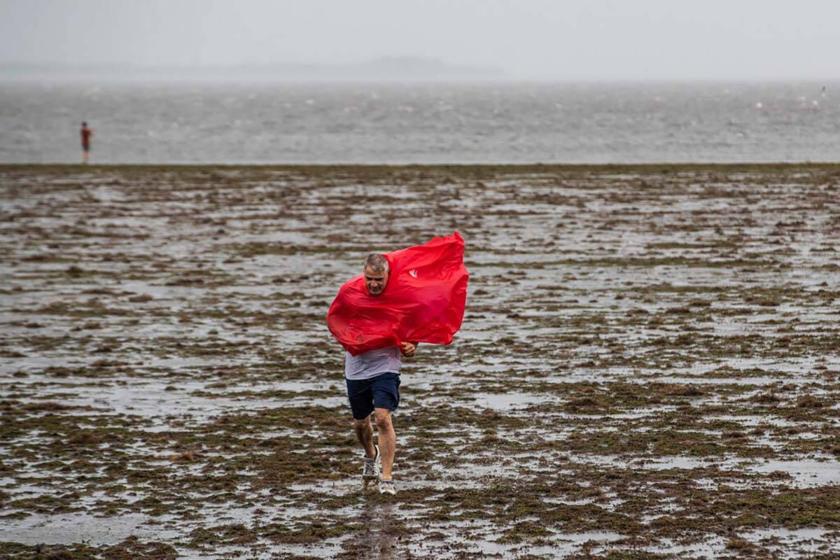 Curious sightseers walk in the receding waters of Tampa Bay due to the low tide and tremendous ...