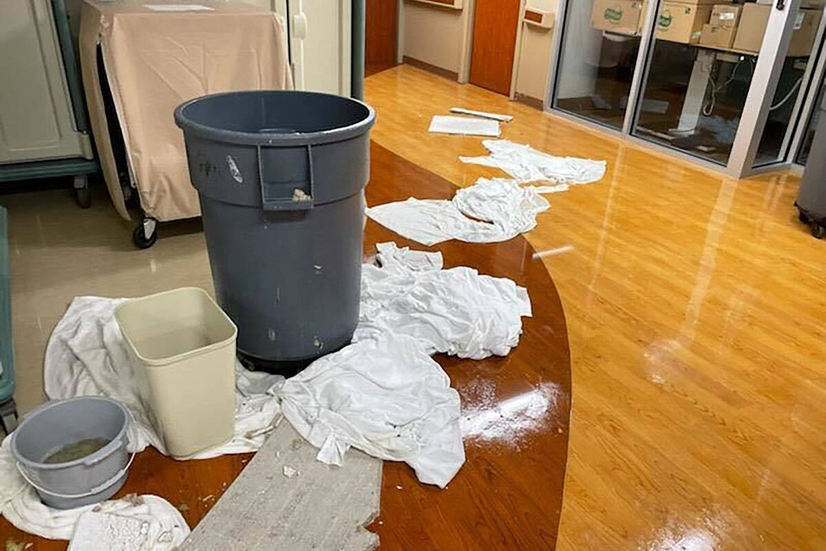 In this photo provided by Dr. Birgit Bodine, various containers and clothes soak up floodwater ...
