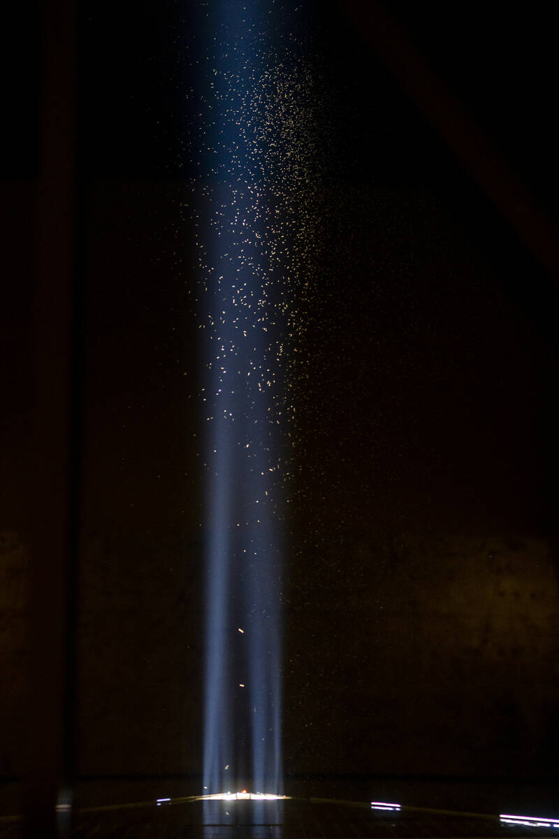 Grasshoppers swarm about the Luxor Sky Beam from atop its pyramid on Thursday, Sept. 29, 2022, ...
