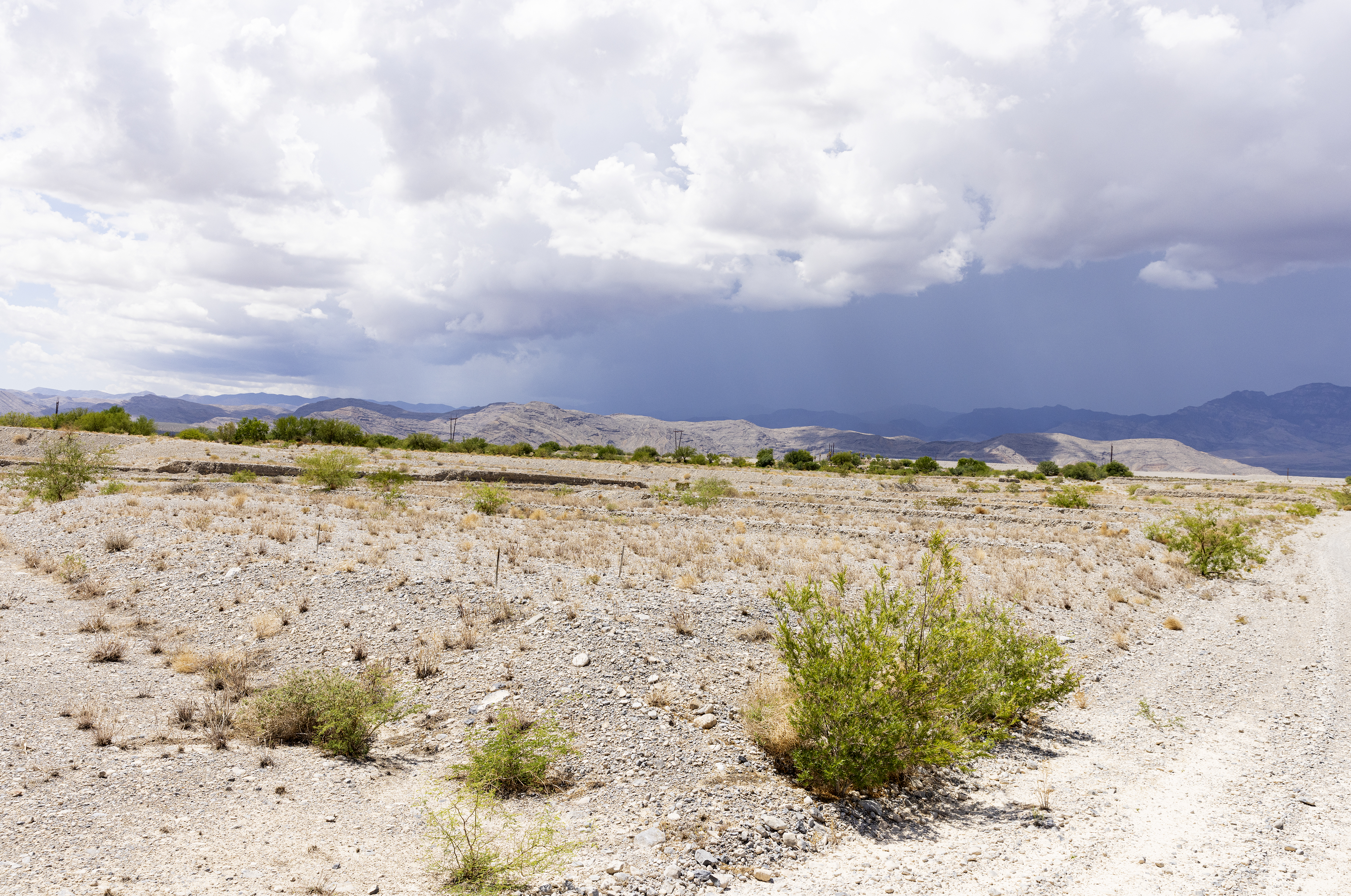 Coyote Springs di luar Las Vegas terus berlanjut