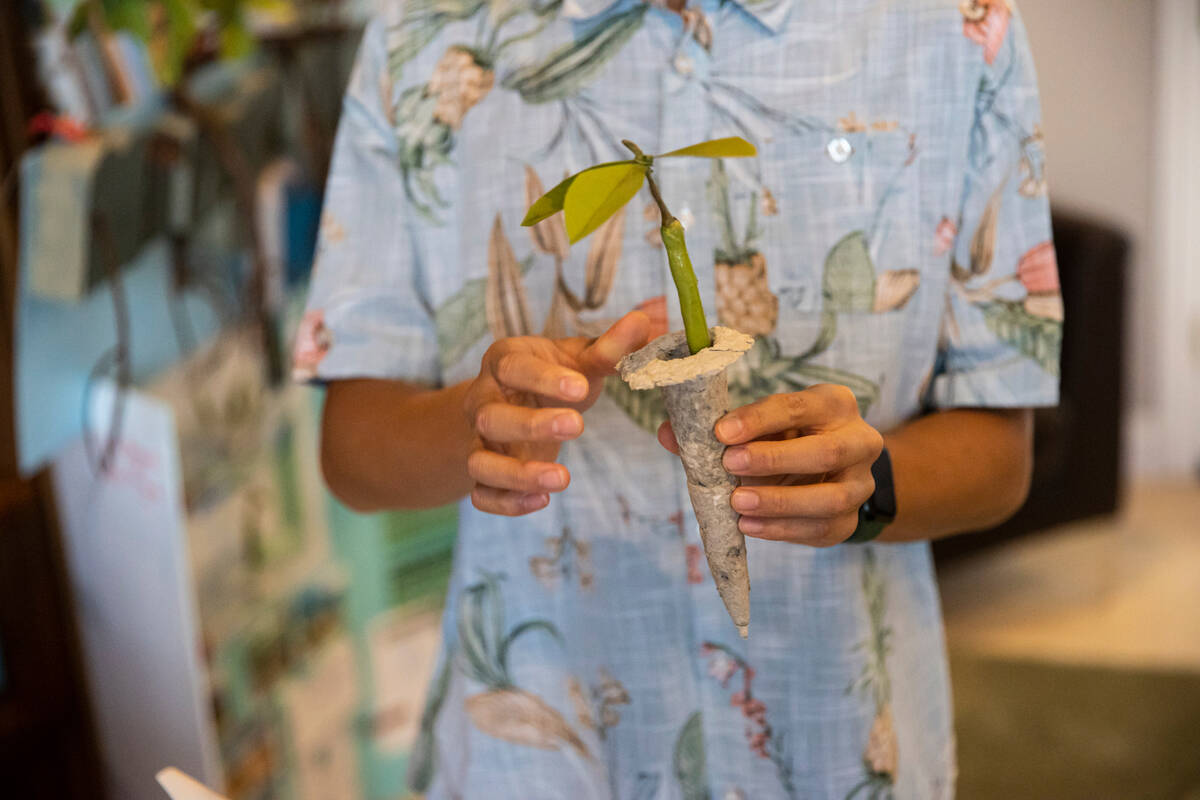 Luka Nguyen, 13, holds a mangrove replica while talking about his mangrove tree carbon sequestr ...