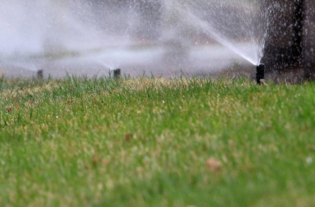 FILE - Lawn sprinklers water grass at Green Valley Parkway on Tuesday, March 5, 2019, in Hender ...