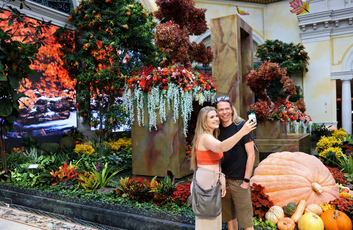 Guests, including Marianne Lind andVaegar Topnell of Norway, take in the “Artfully Autum ...