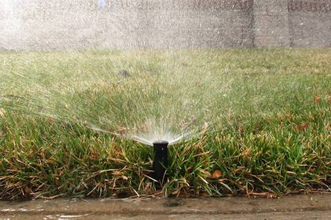 A sprinkler waters grass at Green Valley Parkway on Tuesday, March 5, 2019, in Henderson. (Bizu ...