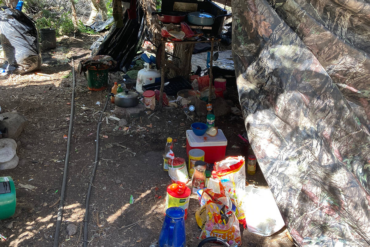 Police say more than 8,700 pounds of marijuana worth over $7.8 million were seized Sunday, Sept ...