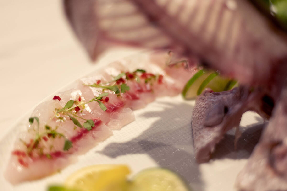 A sashimi made of fagri, a rare fish on U.S. menus, at Estiatorio Milos in The Venetian on Frid ...