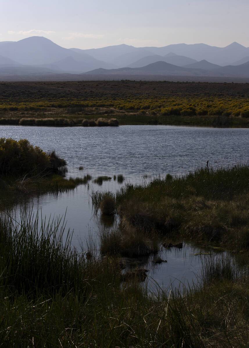 A spring-fed pond on Baker Ranch on Friday, Sept. 9, 2022, in Garrison, Utah. If the Vegas Pipe ...