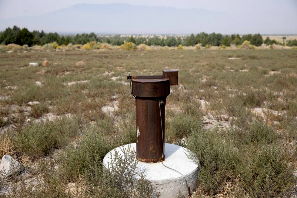 A well owned by the Southern Nevada Water Authority is feet away from the swamp cedars, a site ...