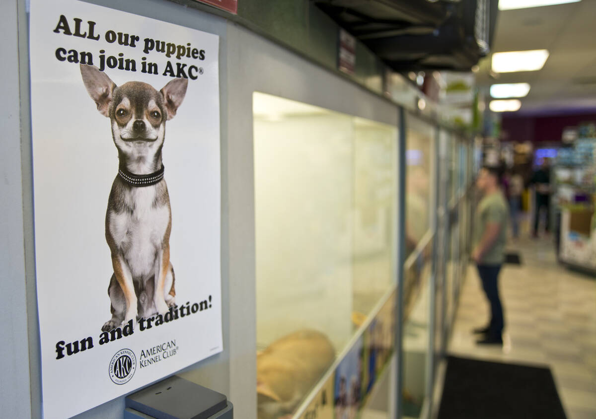 Menjual anjing, kucing di toko hewan peliharaan mungkin dilarang oleh Clark County