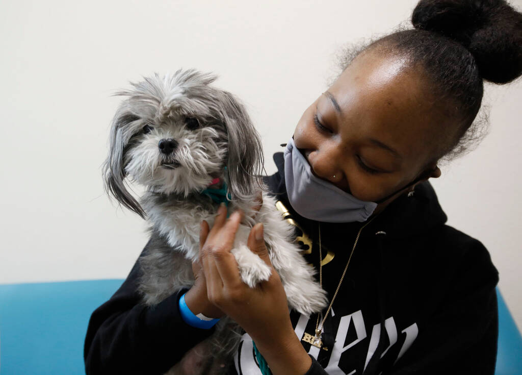 Animal Foundation resumes dog adoptions | Las Vegas Review-Journal Animal Foundation resumes dog adoptions | Las Vegas Review-Journal