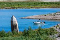 Bait fish are caught about the boat still pointing skyward surrounded now by greenery and water ...