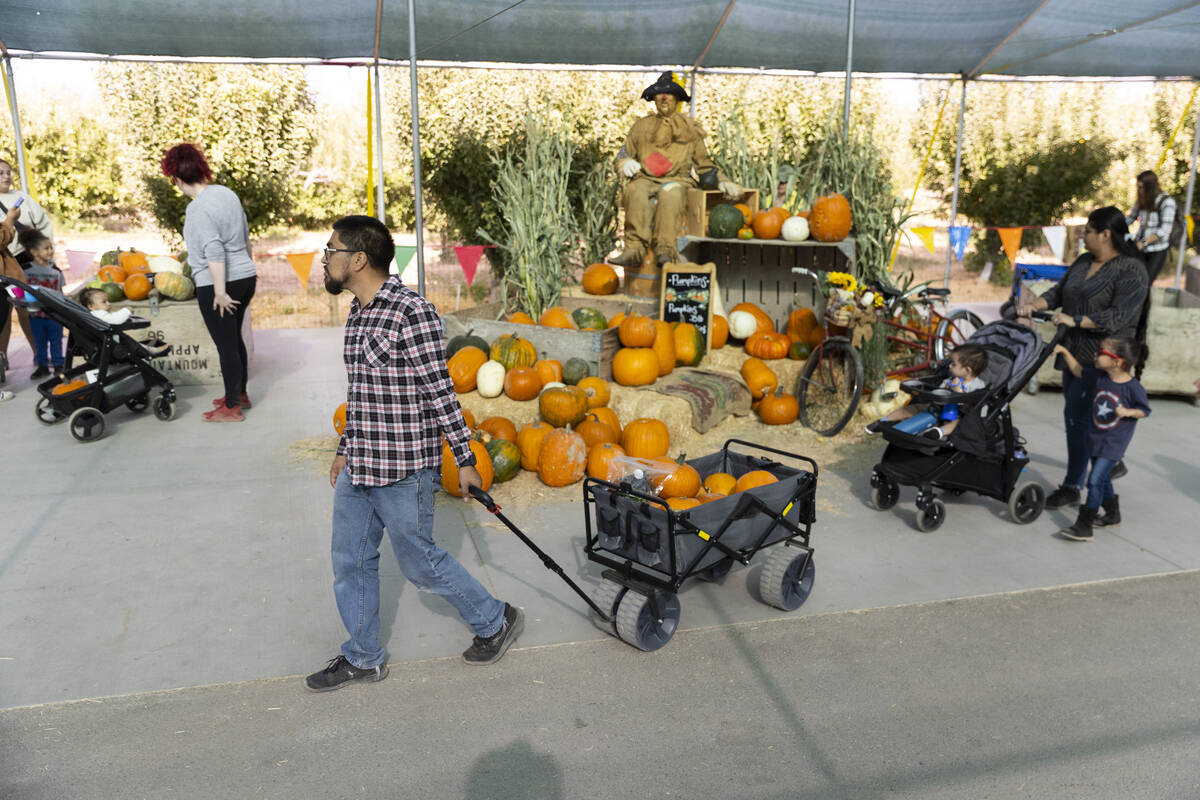 People visit Gilcrease Orchard in Las Vegas, Thursday, Oct. 20, 2022. (Erik Verduzco / Las Vega ...