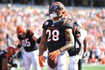 Cincinnati Bengals running back Joe Mixon (28) celebrates his touchdown during an NFL football ...