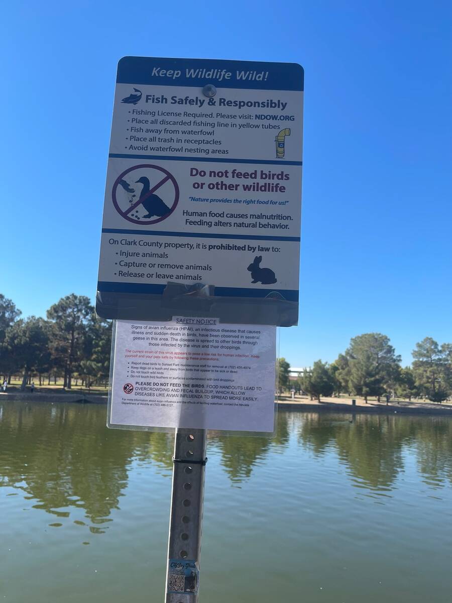 A sign posted at Sunset Park warning visitors about avian influenza and to not feed wildlife on ...