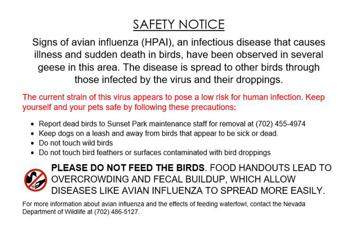 The avian influenza safety notice from Clark County, Nevada. (Clark County, Nevada Facebook)