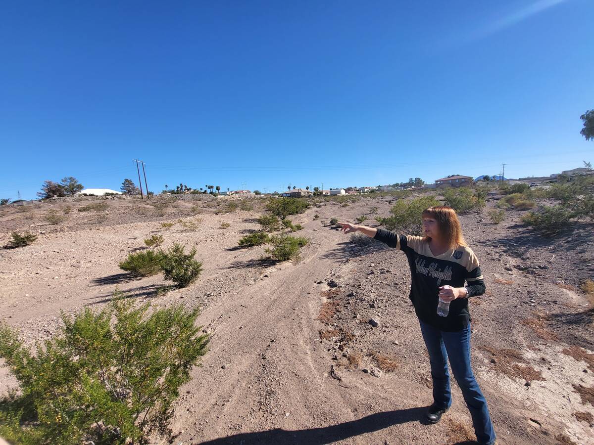 Sharri Warren points out landmarks in her neighborhood from the lot where the temple will be bu ...