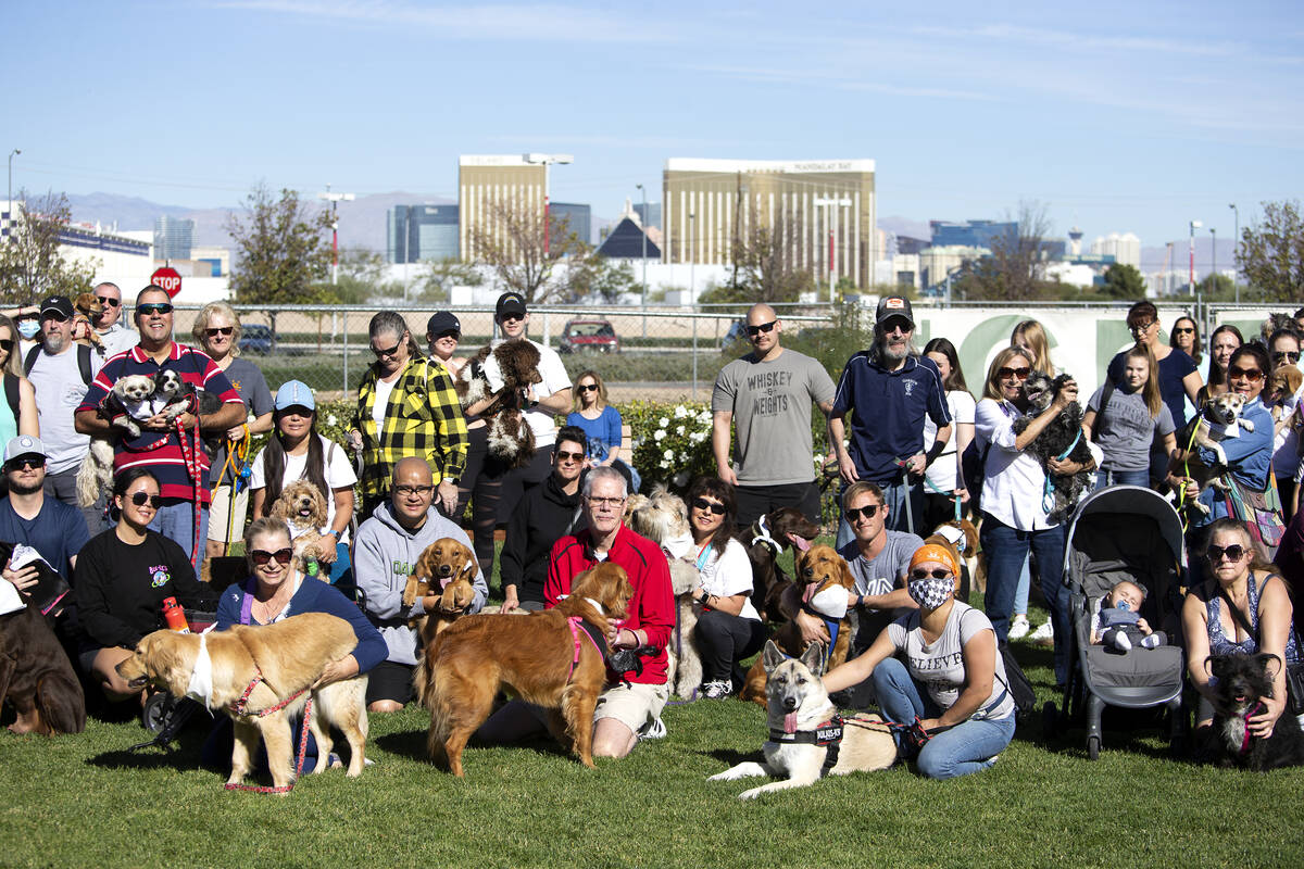 Owners and canines pose for a group photo during a walk in honor of Tina Tintor and her golden ...