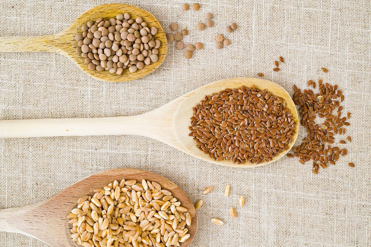 Kebenaran tentang protein nabati
