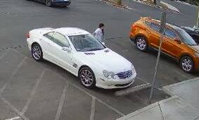 Las Vegas police say they are looking for people caught on camera stealing puppies from pet sto ...