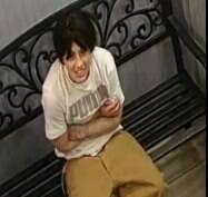 Las Vegas police say they are looking for people caught on camera stealing puppies from pet sto ...