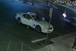 Las Vegas police say they are looking for people caught on camera stealing puppies from pet sto ...