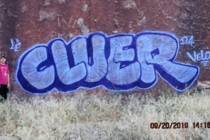 Jonathan Pavon, 28, and Daniel Plata, 28, pleaded guilty to conspiring to paint graffiti at Whi ...