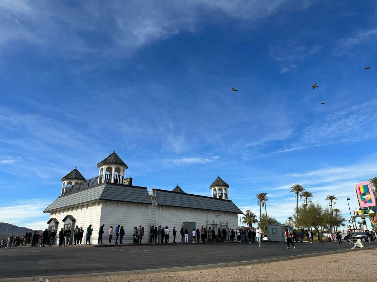 Thousands of people, mostly from the Las Vegas area, lined up to buy tickets for the Powerball ...