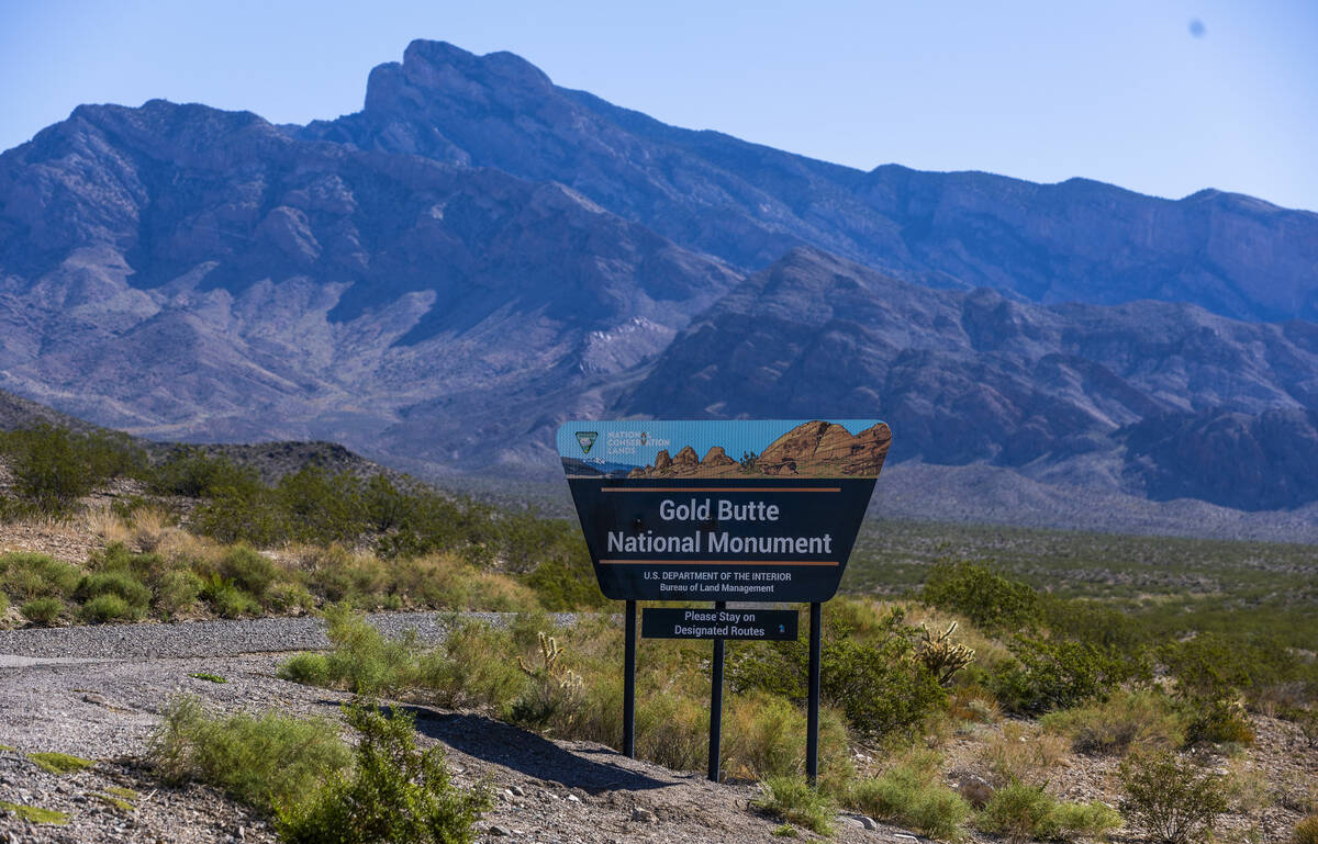 Despite an armed standoff and a federal court ruling, Cliven Bundy's cows are still grazing in ...