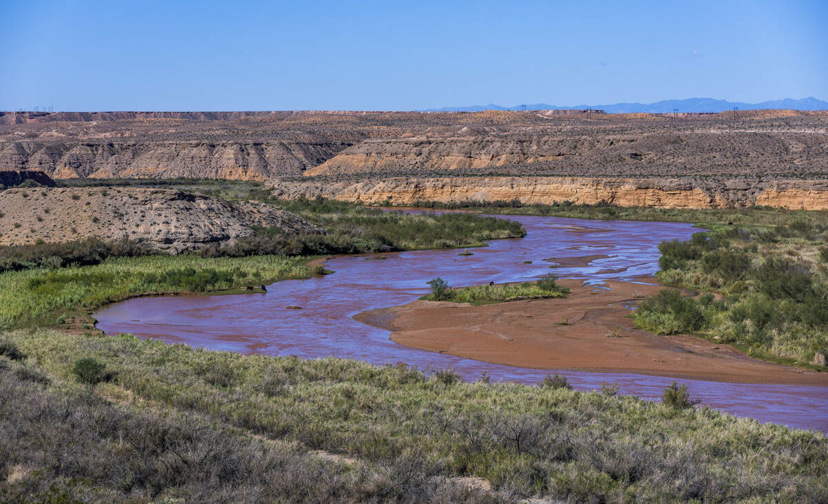 Cliven Bundy's cows graze on BLM land about the Virgin River and he refuses the pay grazing fee ...