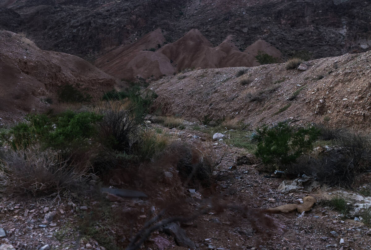 The wash where a truck crashed after being fired upon by a Bureau of Land Management officer tr ...